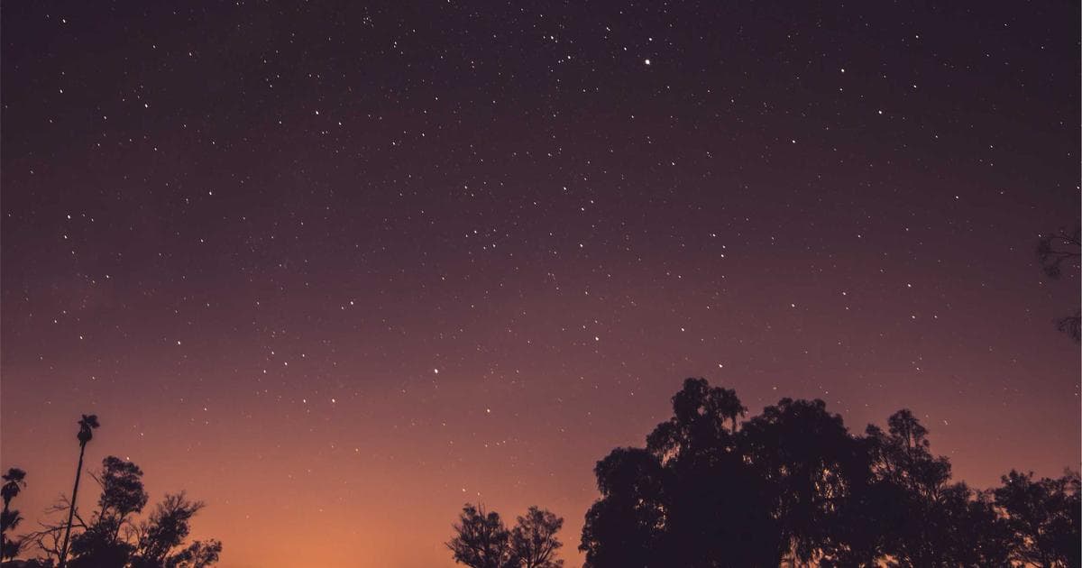 Building a Data-Driven Organisation