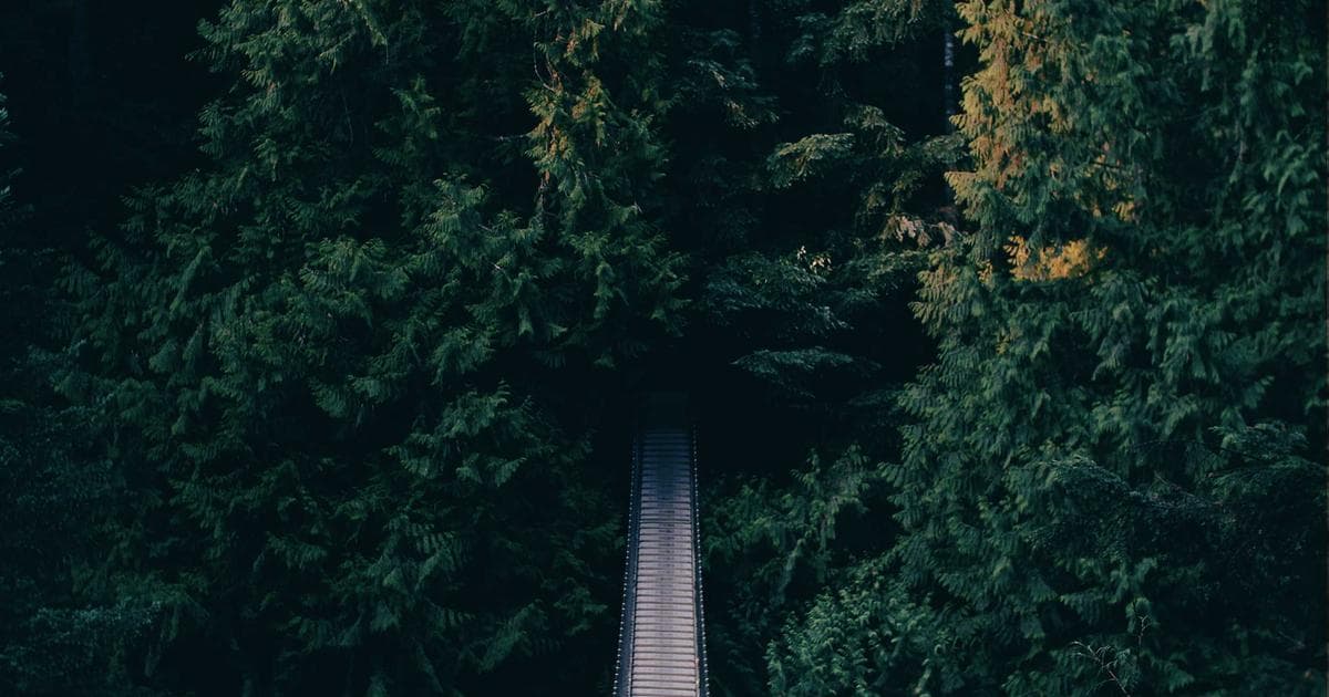 Web Performance Optimization for Scale